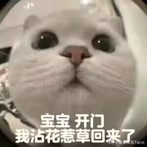 双子、射手真的花心吗？——不花心，他只是对每个人都认真一小会儿。那跟花心有什么区