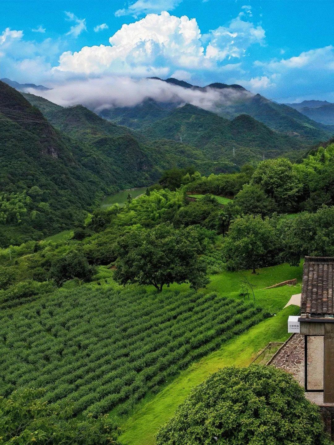 在这个纷繁复杂的时代大棋局之下，你不要以为你装了好人就可以独善其身，最好的方法就