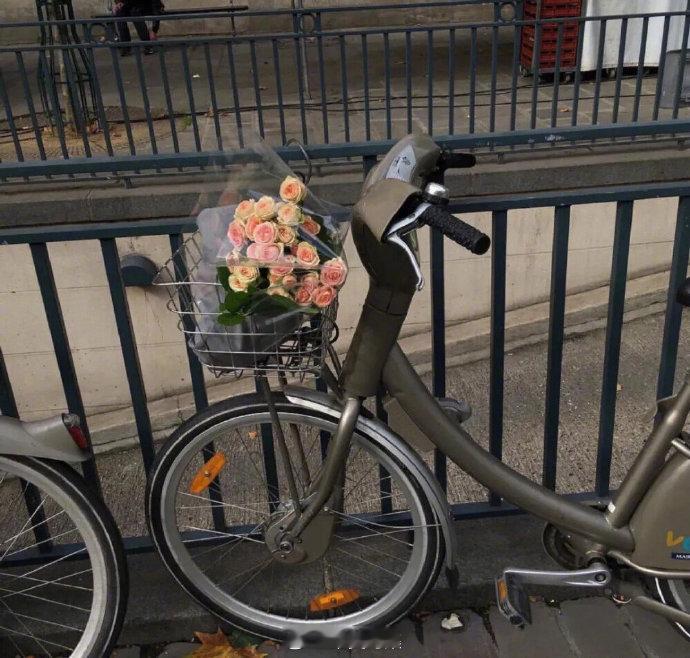 “成年人的高级自律：  苦事不宣，乐事不扬，闲事不管。” ​​​
