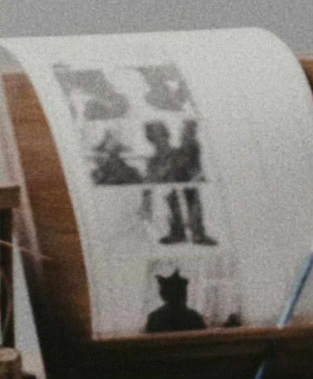 马嘉祺马嘉祺小黑猫塑马嘉祺黑猫塑 马嘉祺小黑猫塑，开放 