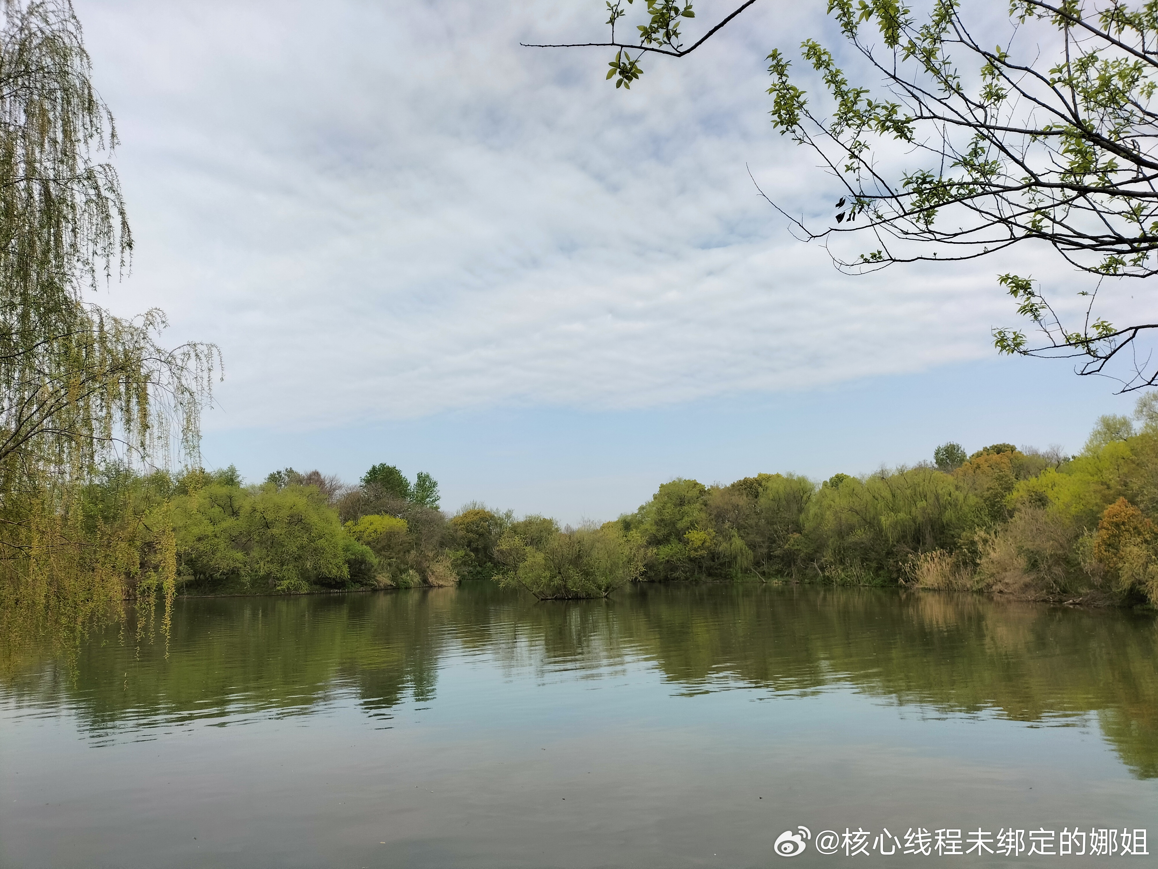 说好在杭州假装上班结果真创业了太爱杭州了，早上骑共享单车绕天目山路转了一圈，美丽