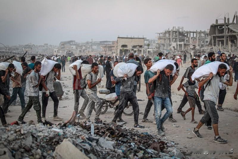 三哥真聪明
最近，三哥大量涌入中国，他们在中国享受特别友好的待遇，他们说他们来自