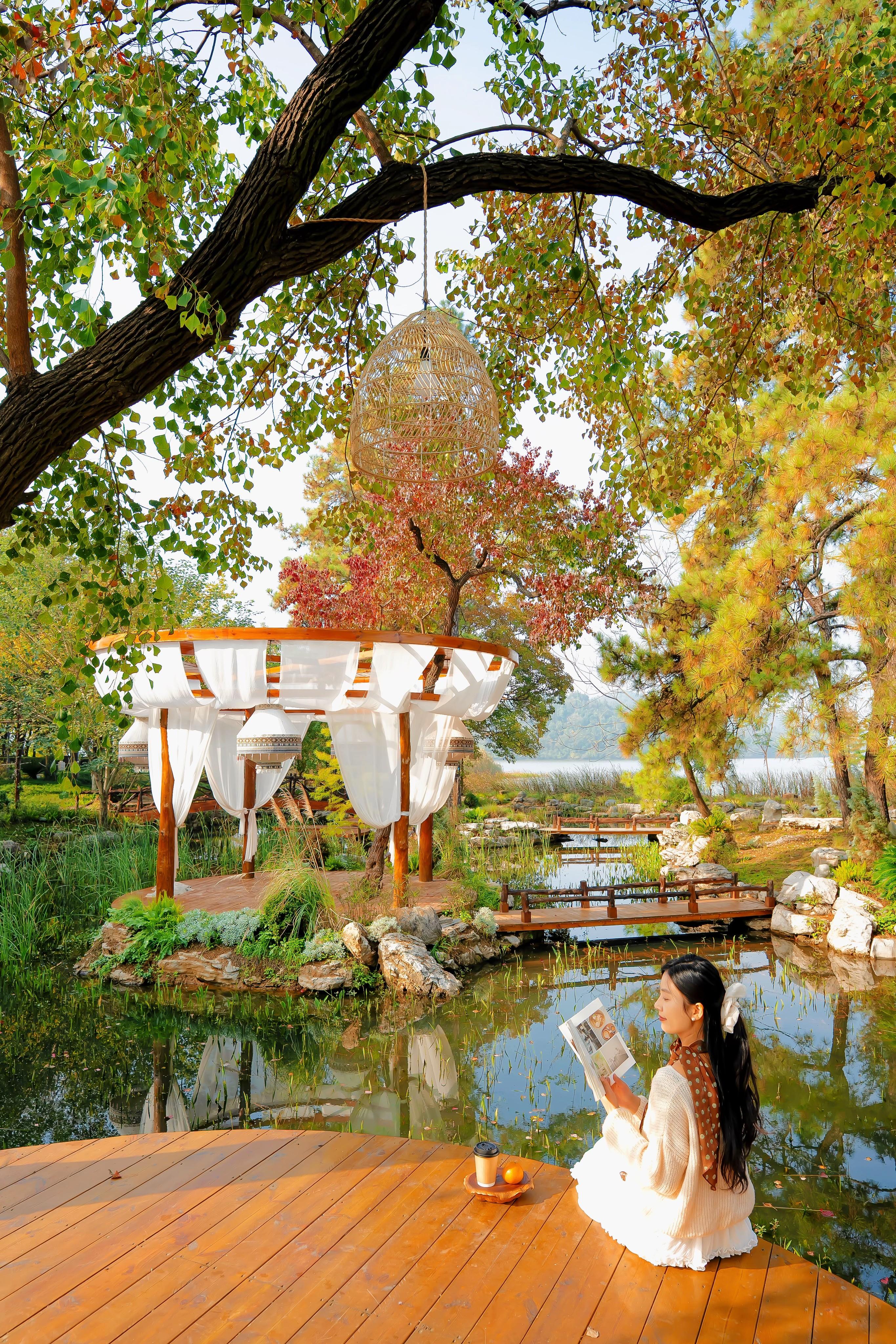 11.12实拍 ！东湖上新秋日新机位！人少好拍！。东湖的秋天🍂真的从...