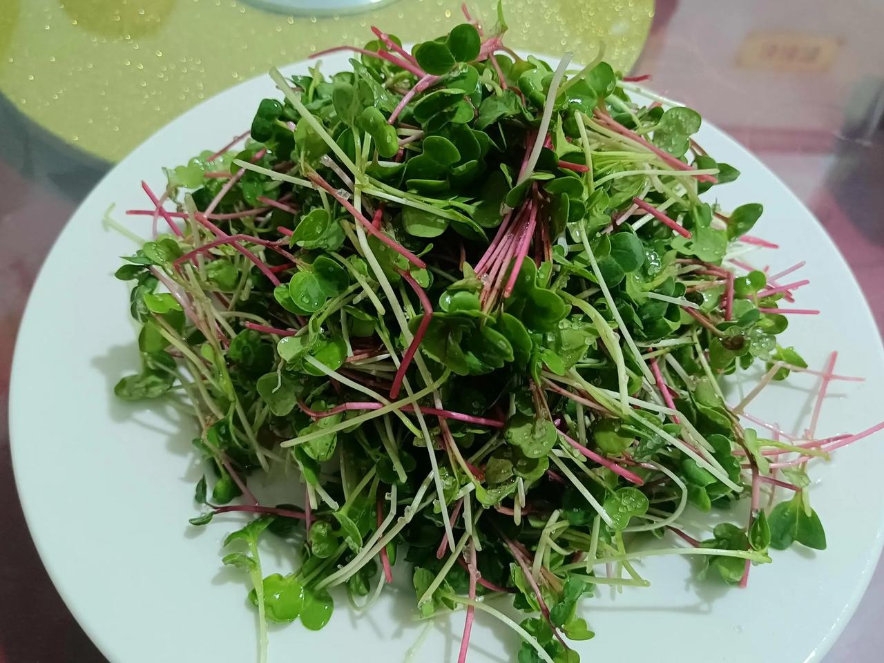 从种子到餐桌的萝卜苗经历了一场别开生面的成长之旅。
     首先，精选优质的萝