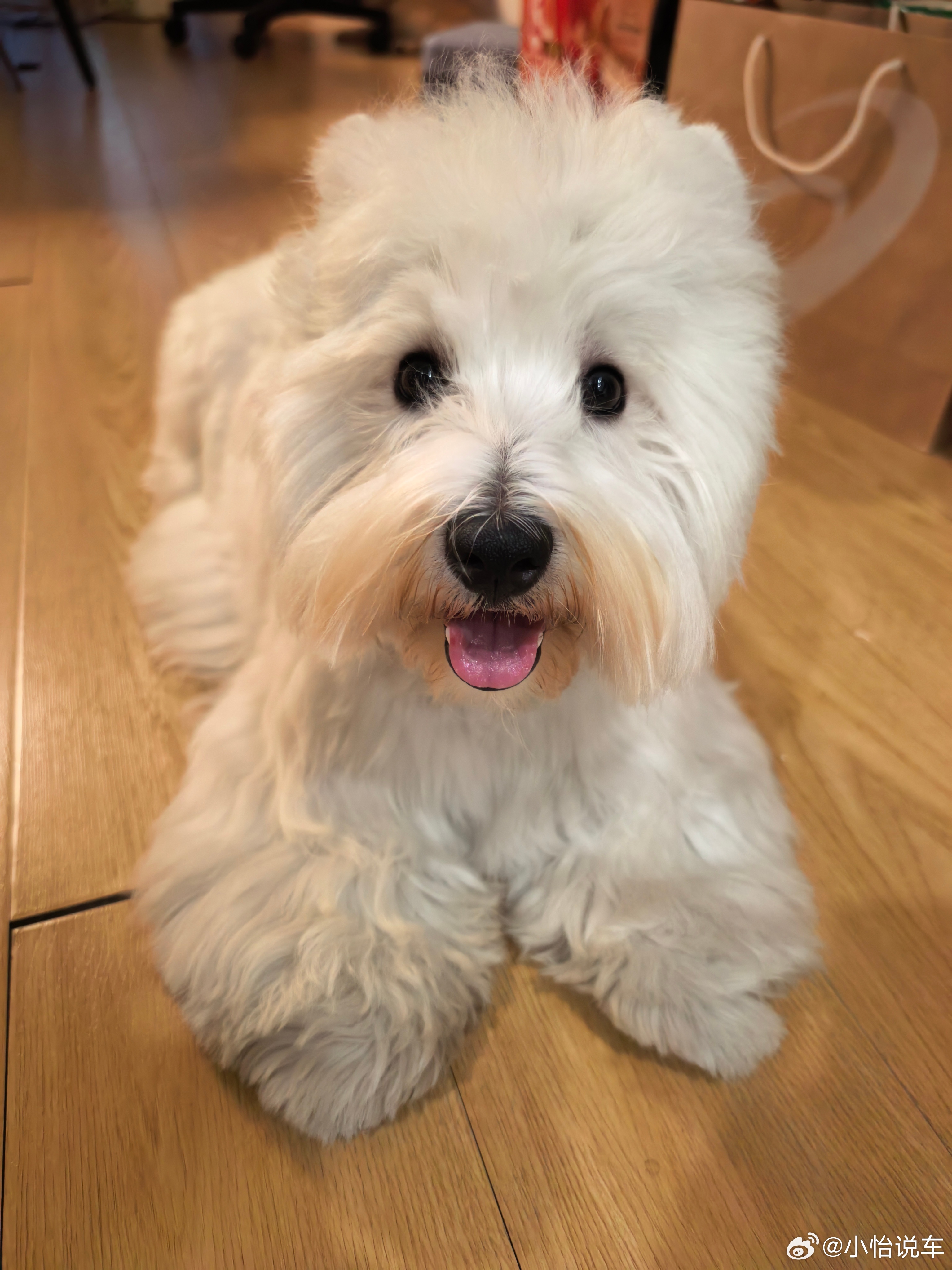 起床了吗？今天上班