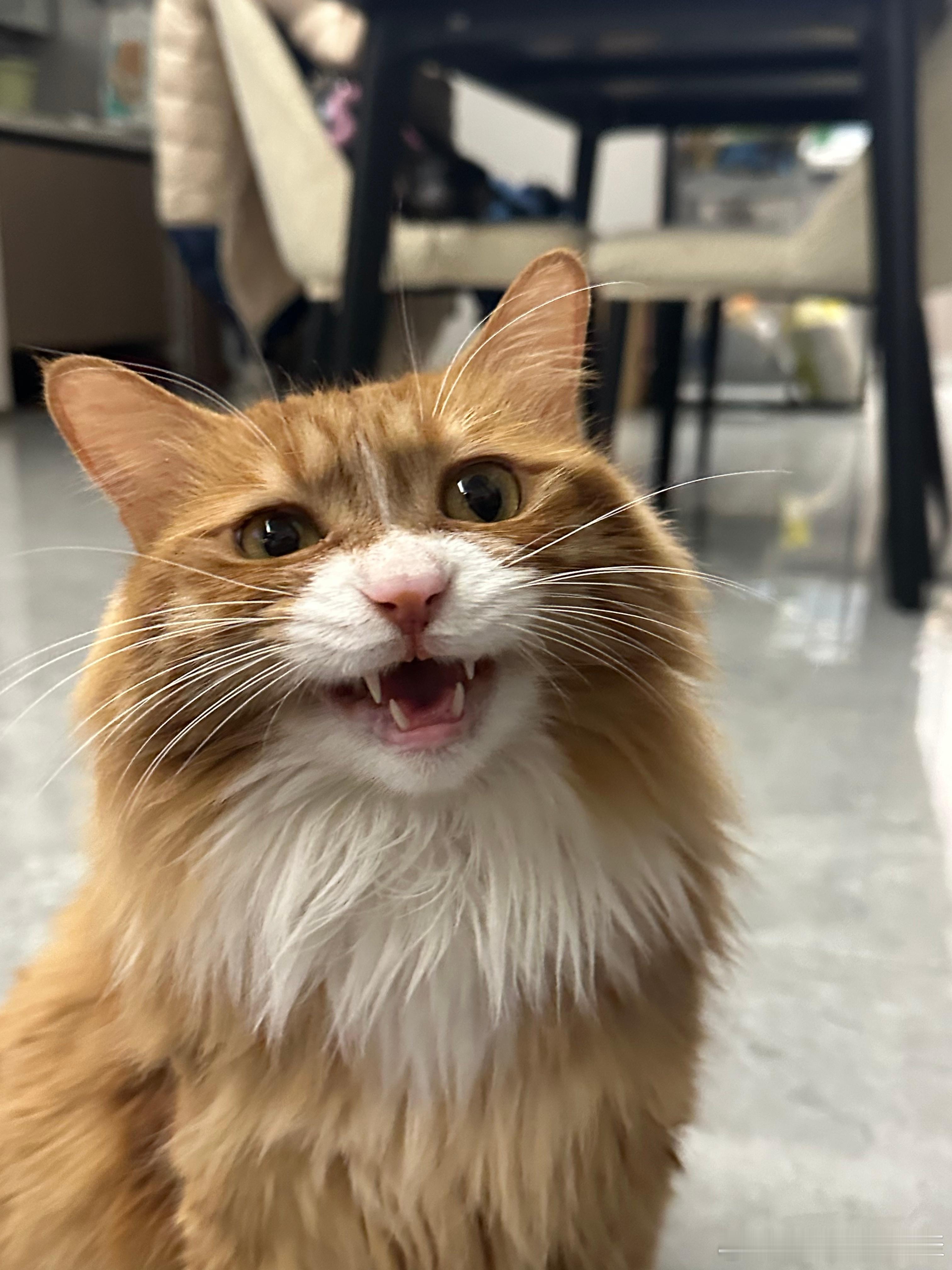 老马在路上 晚上回来收拾完东西准备去洗漱然后回头问孔老板：几点了？她说：几点？？