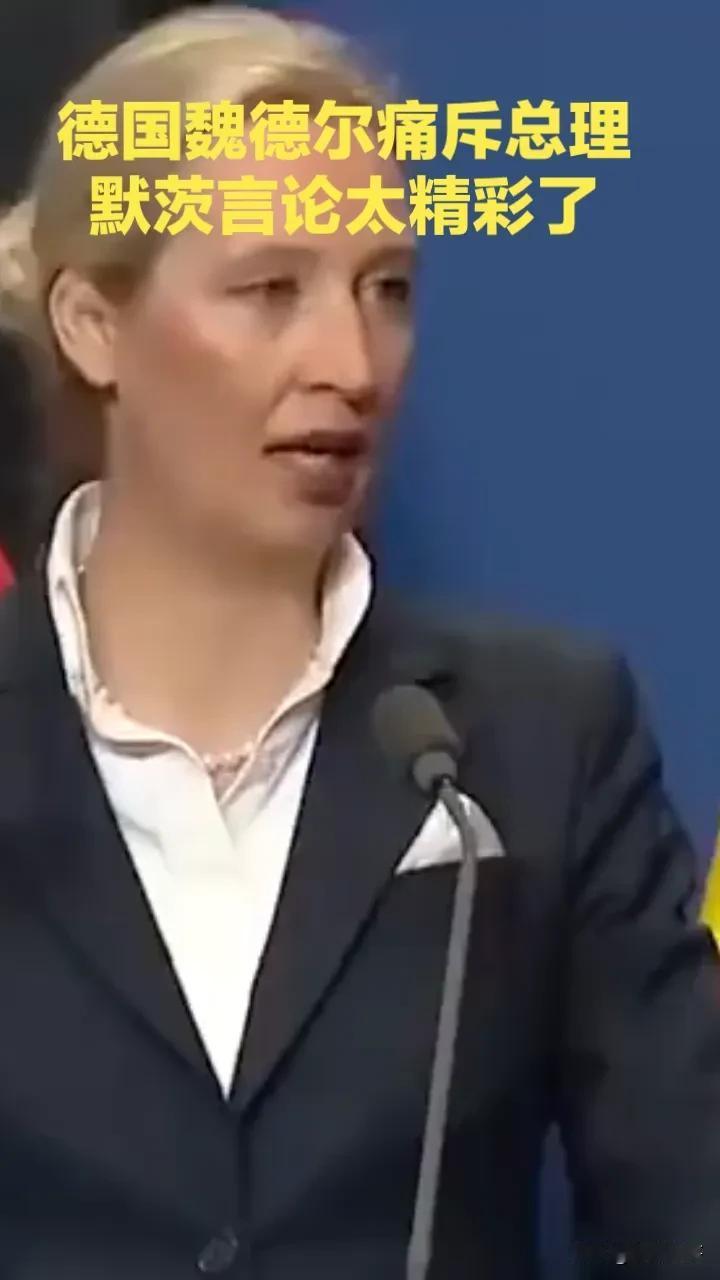 魏德尔痛斥德国总理默茨的言论太精彩了！
魏德尔多次痛斥默茨厚颜无耻、背叛选民、榨
