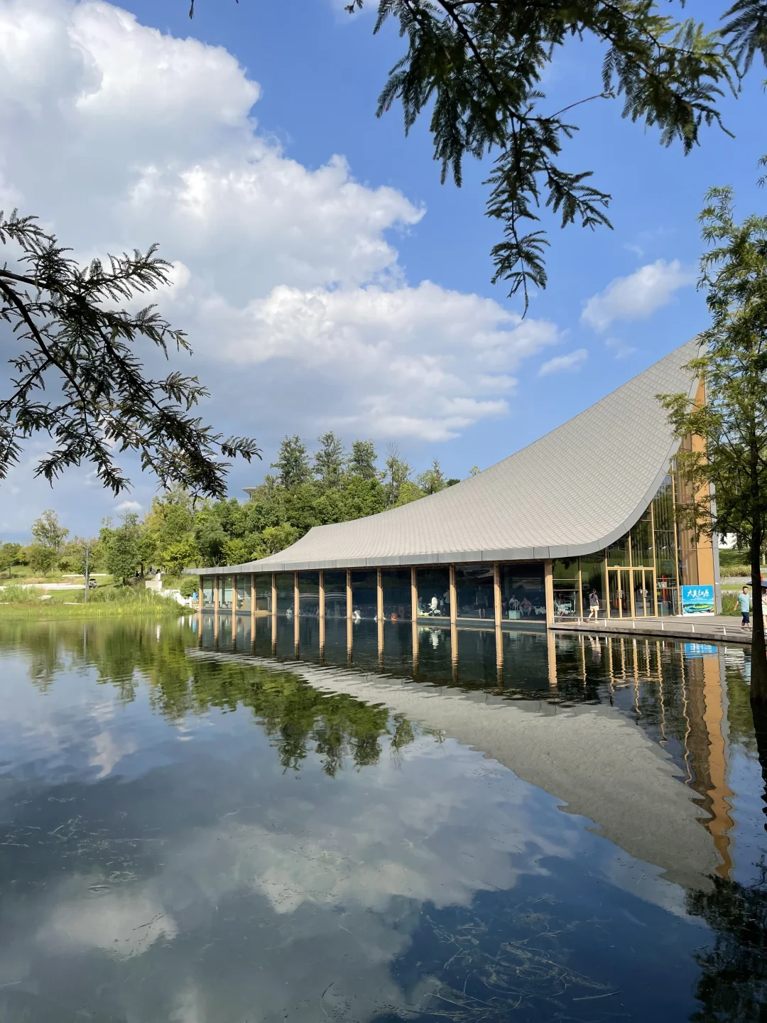 9月成都兴隆湖live！随手一拍美到封神！