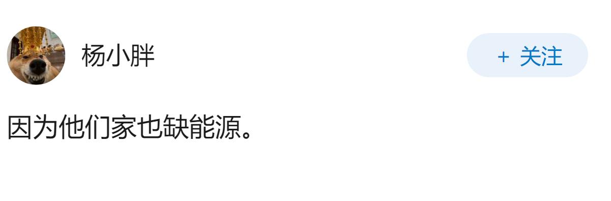 为什么越南要追随中国的电动车政策？