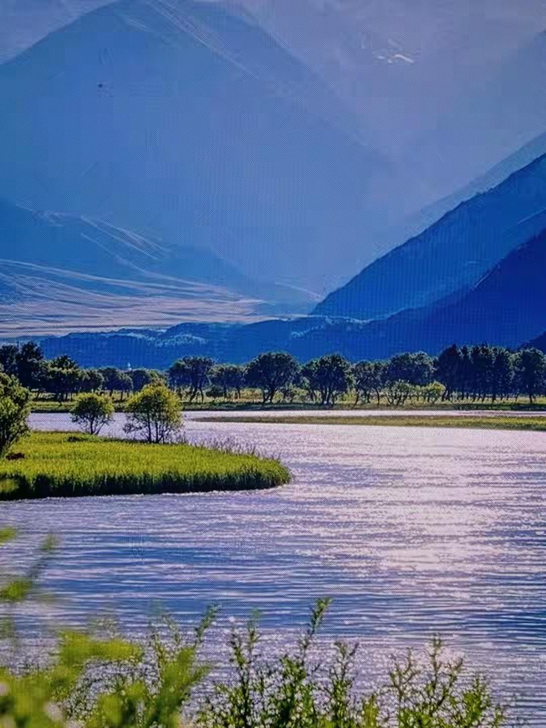 爱在不言中，也许每个人都会遇到一个一眼就心动的人，说不出他到底哪儿好，可我就是喜