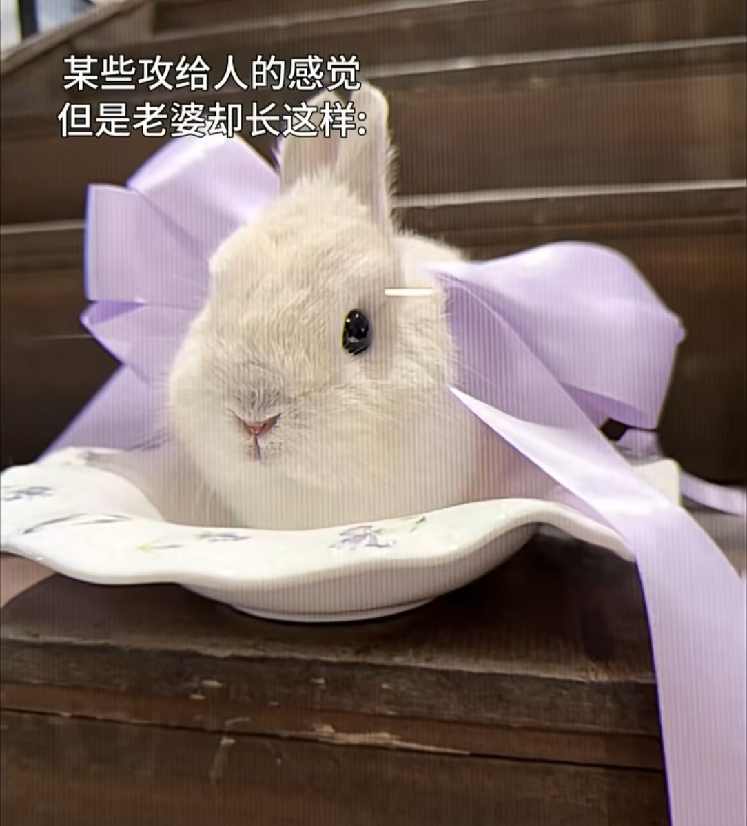 哟，这不是家产嘛😏 ​​​