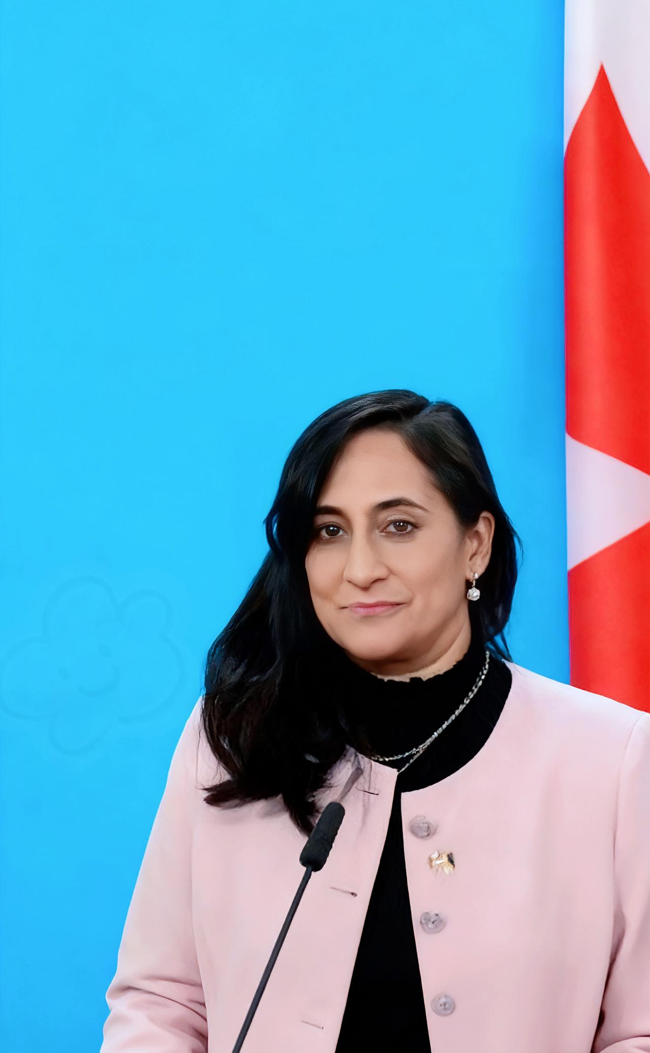 就在刚刚

突发！

加拿大对华态度藏玄机：一边求对话促经贸，一边硬限制不松口？