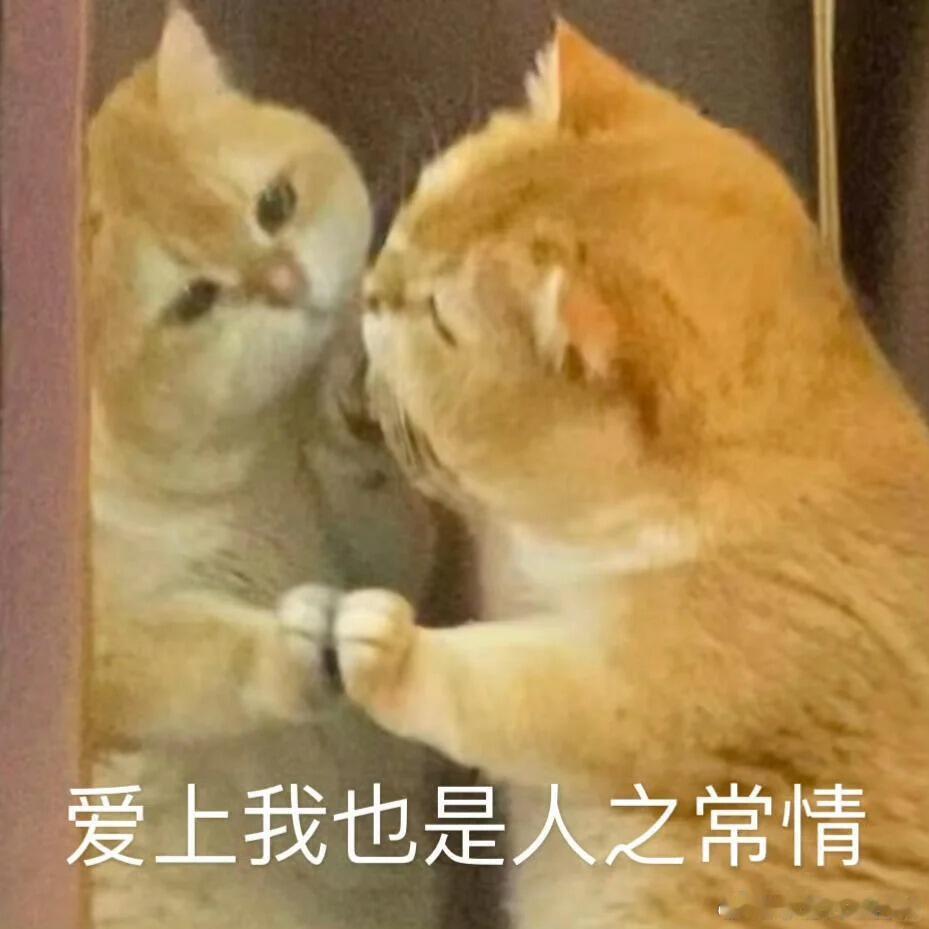 其实记录不用“做”什么，认真吃的每口饭，认真走的每段路，本身就是记录，记录生活原