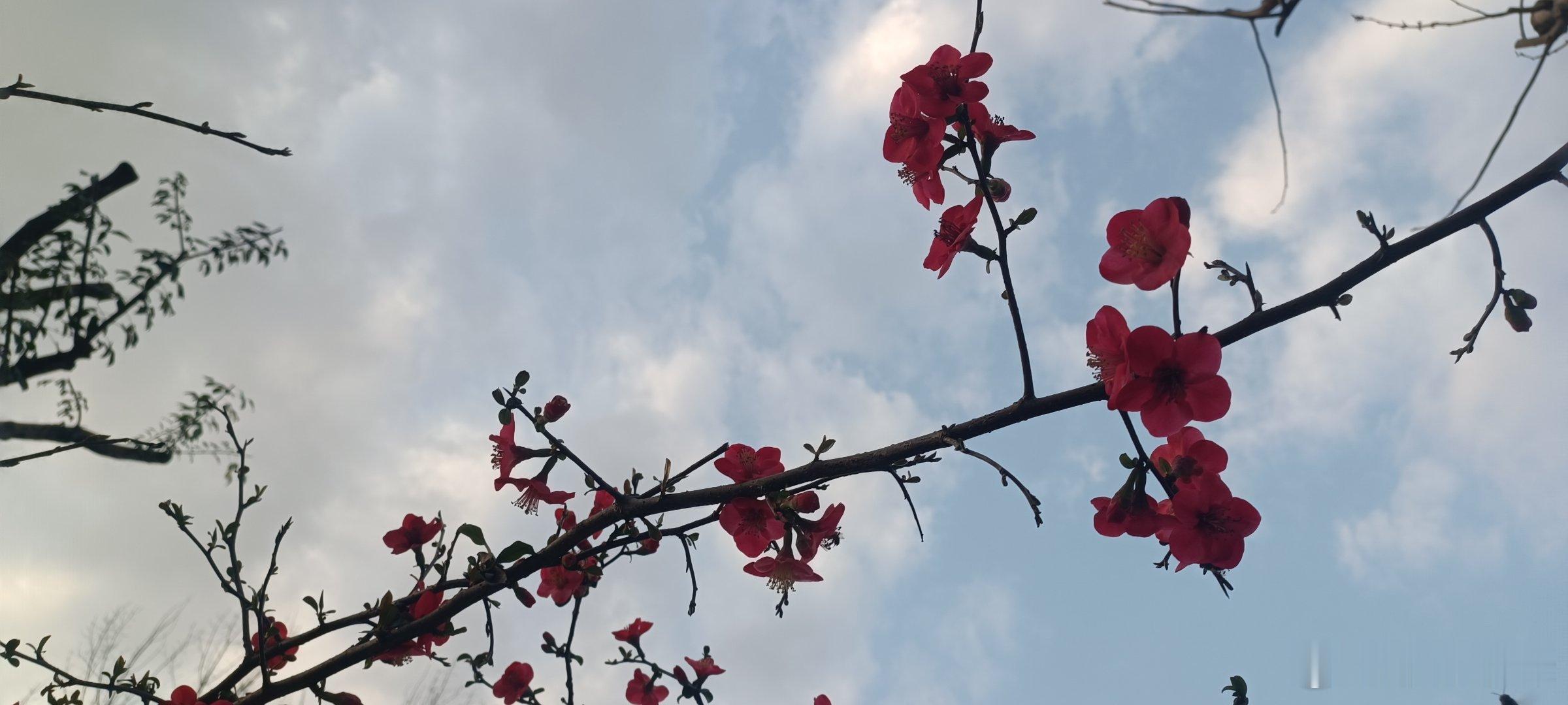 我在等一场雨 在等关于你的消息等和你的相遇 等有你的花季我在等一场雨 在等有你的