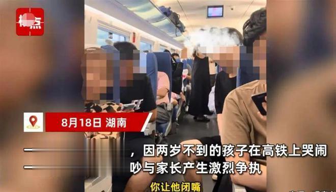 近日，一名女子因为受不了邻座不到两岁的孩子在高铁上的哭闹，与孩子的家长发生了激烈