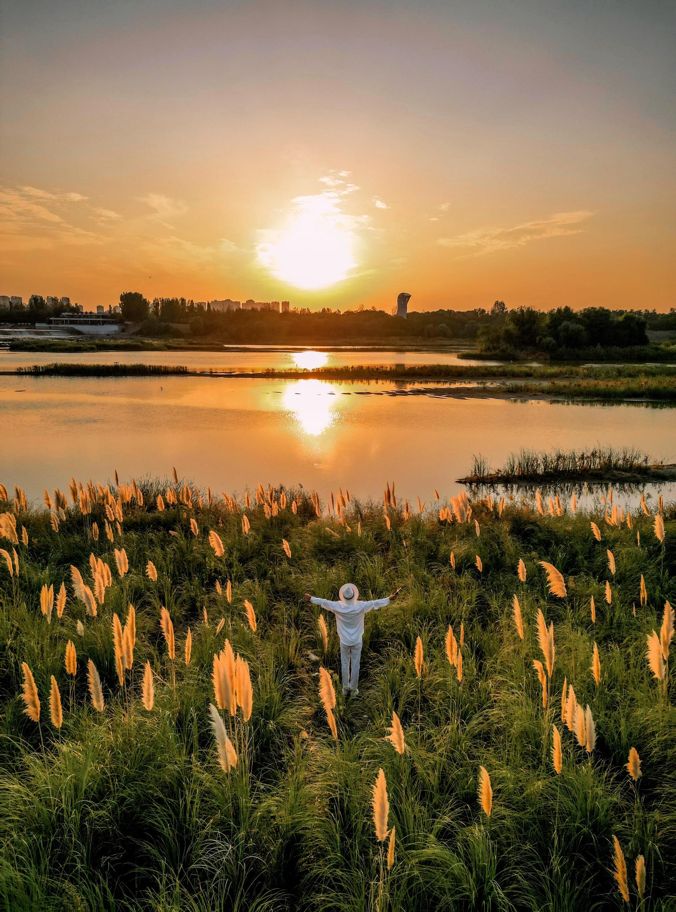西安小众赏秋地🍂 漕渠驿的芦苇日落美到爆❗️。我敢说这个小众赏秋地好...
