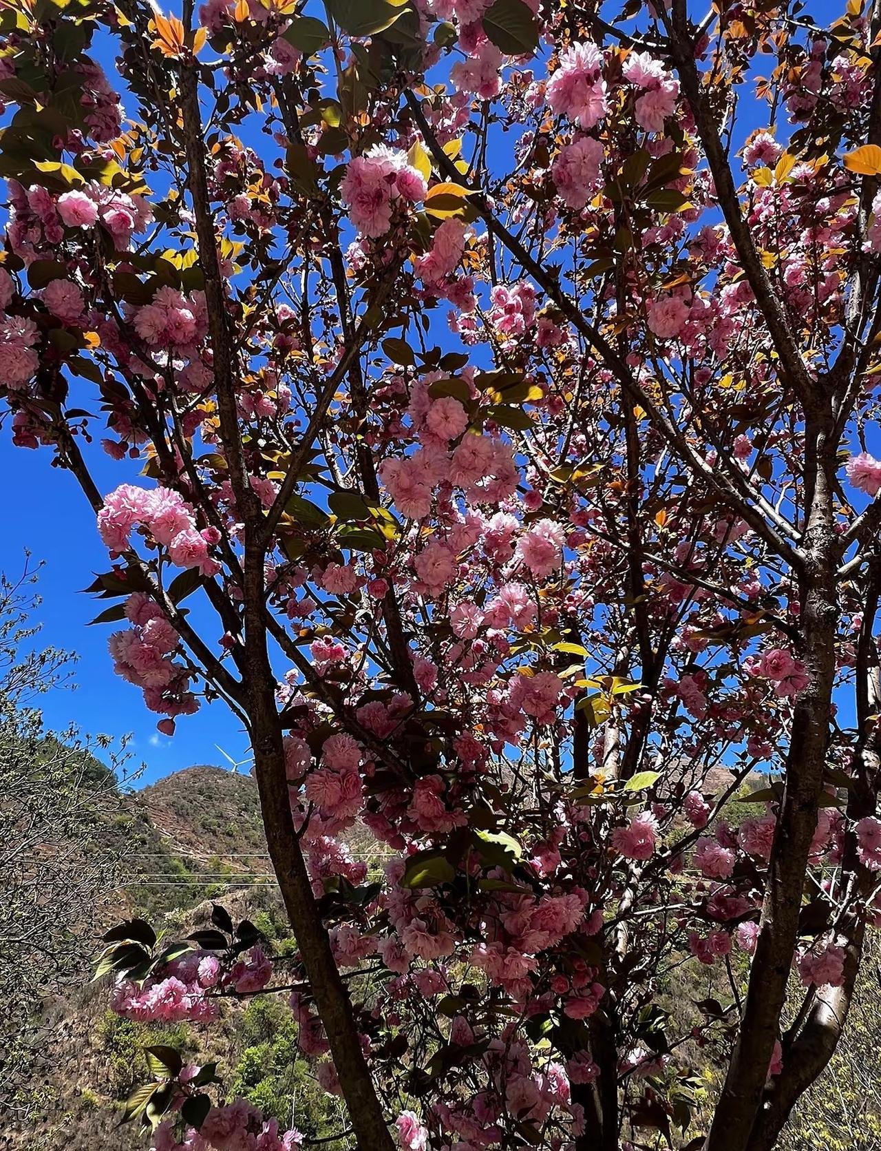 今天是24°C的微风