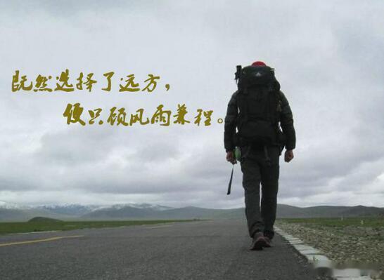 【7.31日收评：嗜血的七月过去，如何迎战红八月？】市场全天冲高回落，沪指强势整