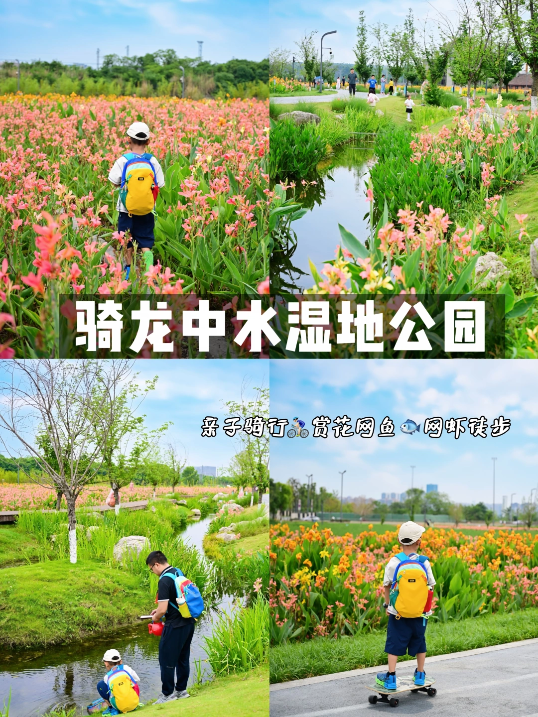 南门20min直达‼️美人蕉花海已经开爆了🌿