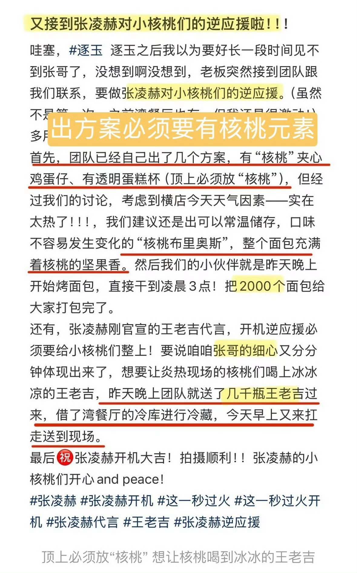 张凌赫准备了4300份逆应援公开活动基本场场都在请小核桃吃饭之人 以真心换真心双