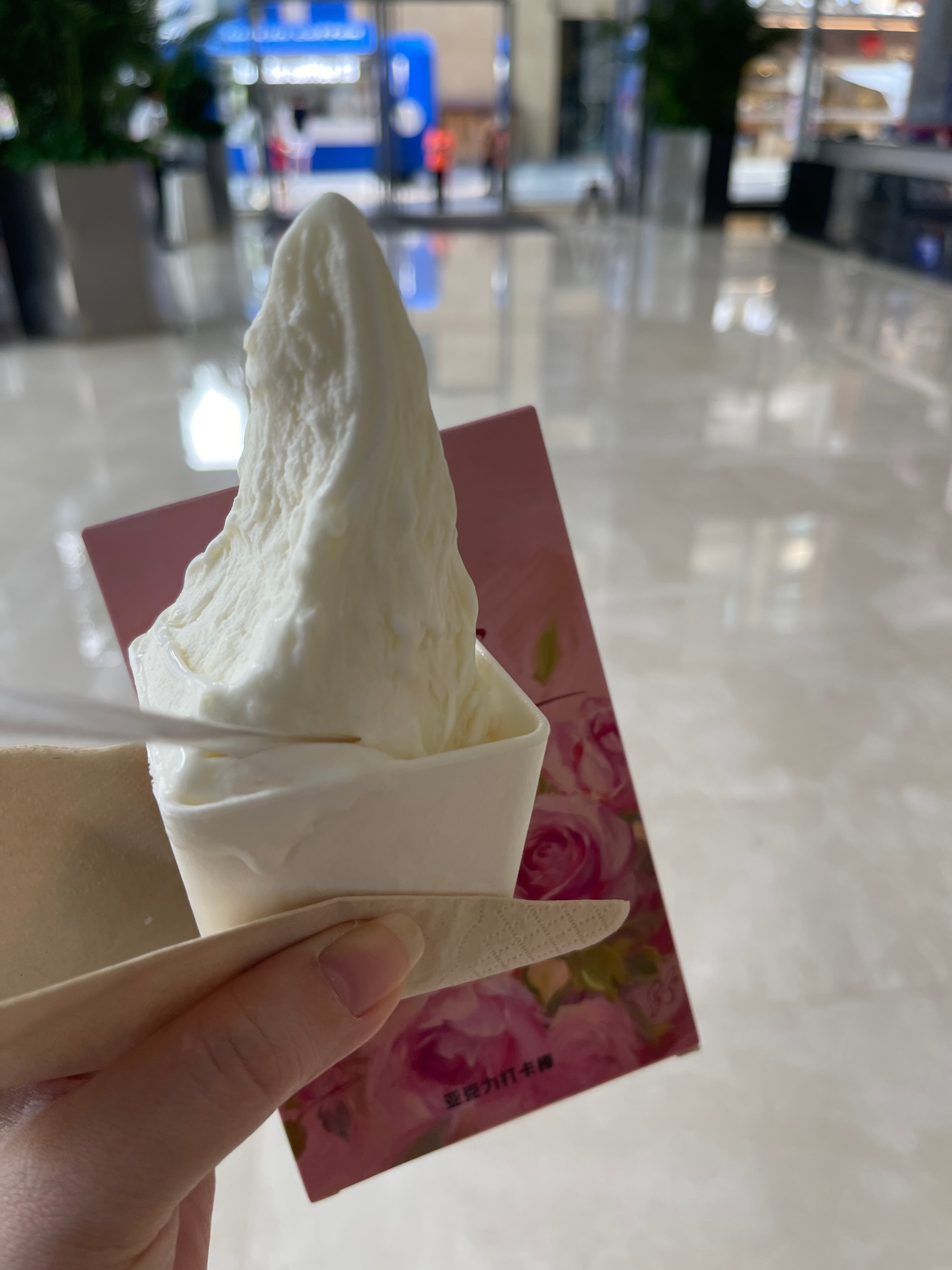 两个懒人 下楼吃个冰激凌都懒 眼睁睁看着冰激凌在我手里融化 回去给你们喝汤