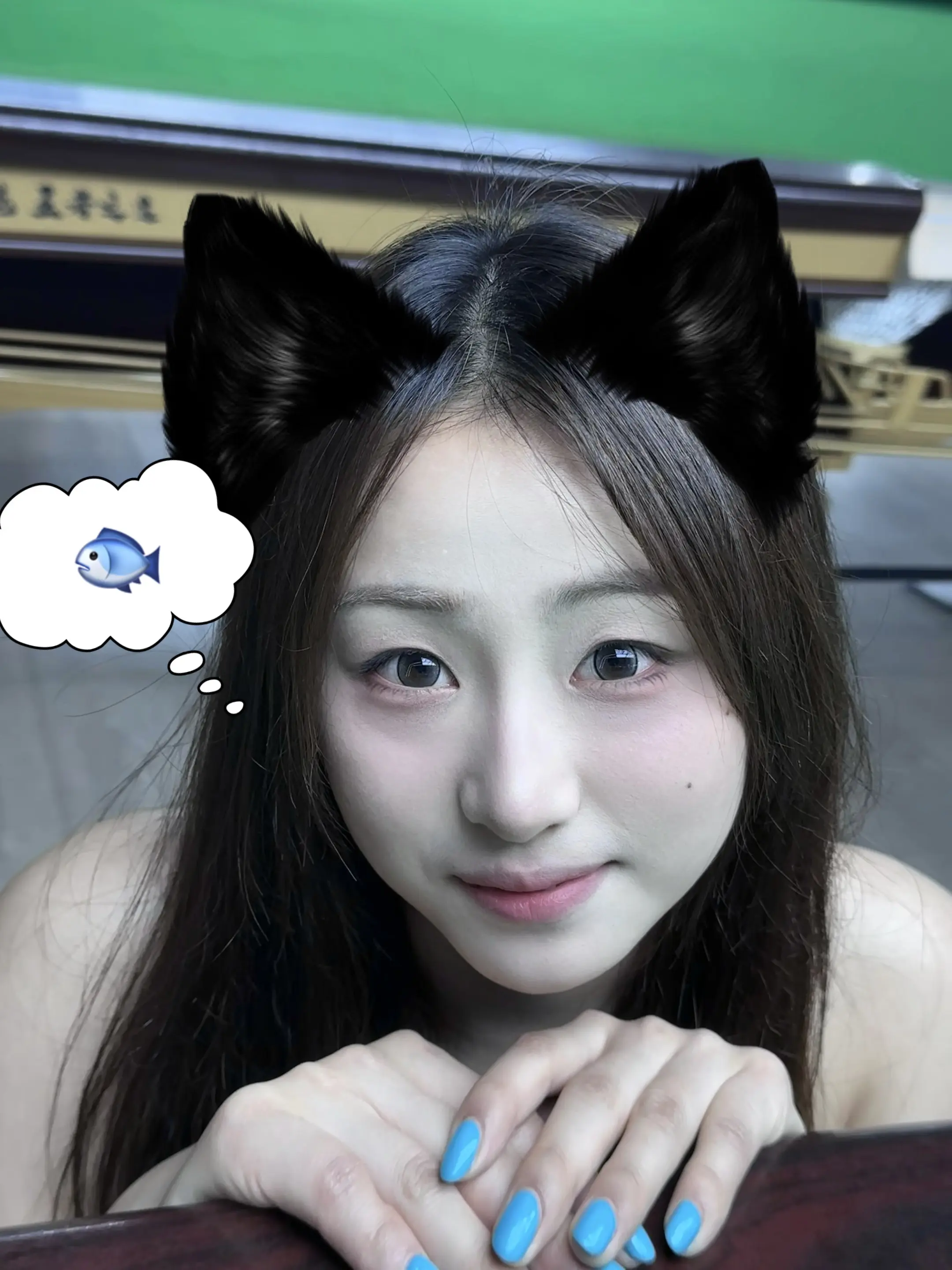 小猫可可爱爱的 像你՞˶˃ ᵕ ˂˶՞