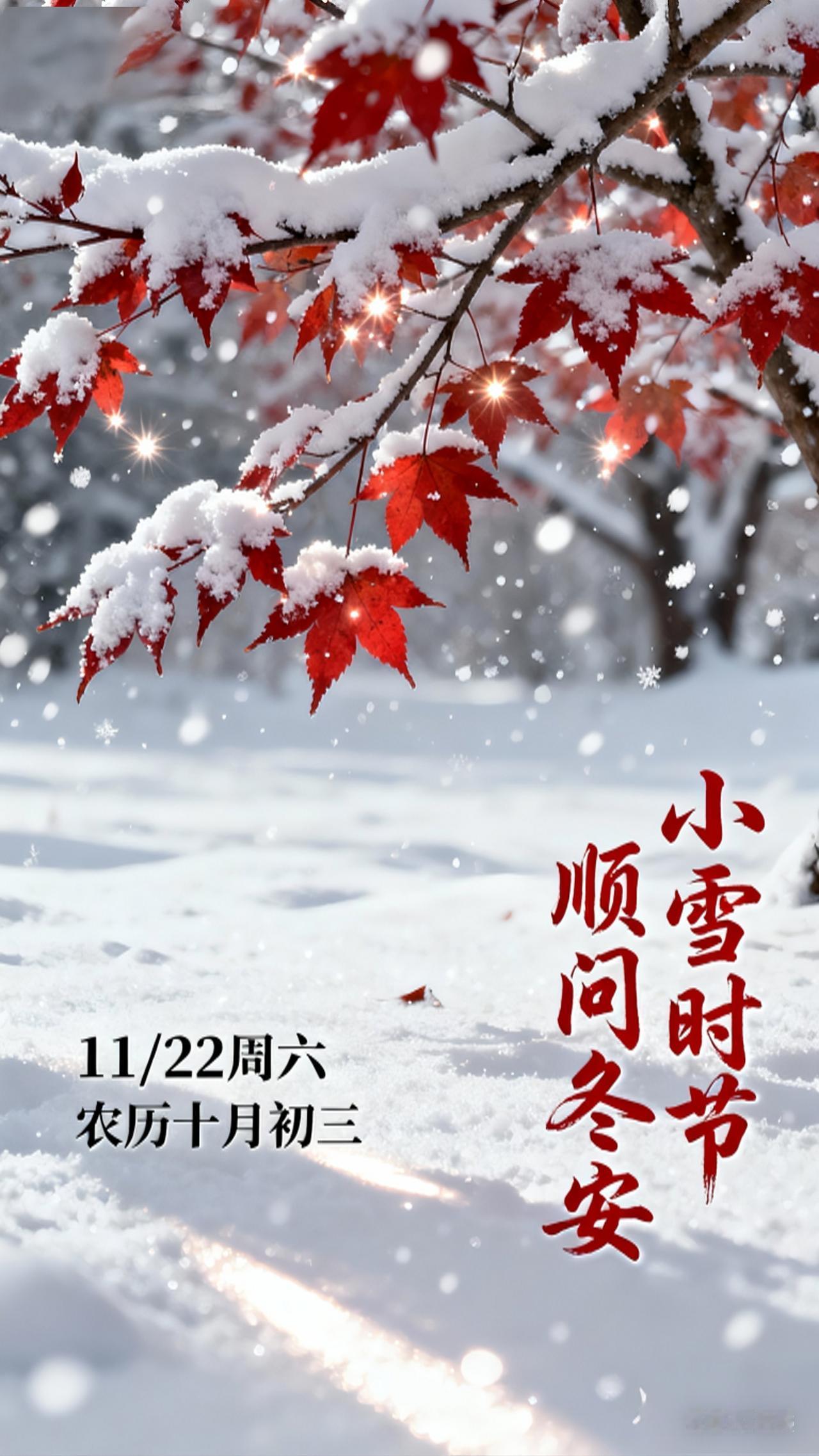 分享一张雪景图