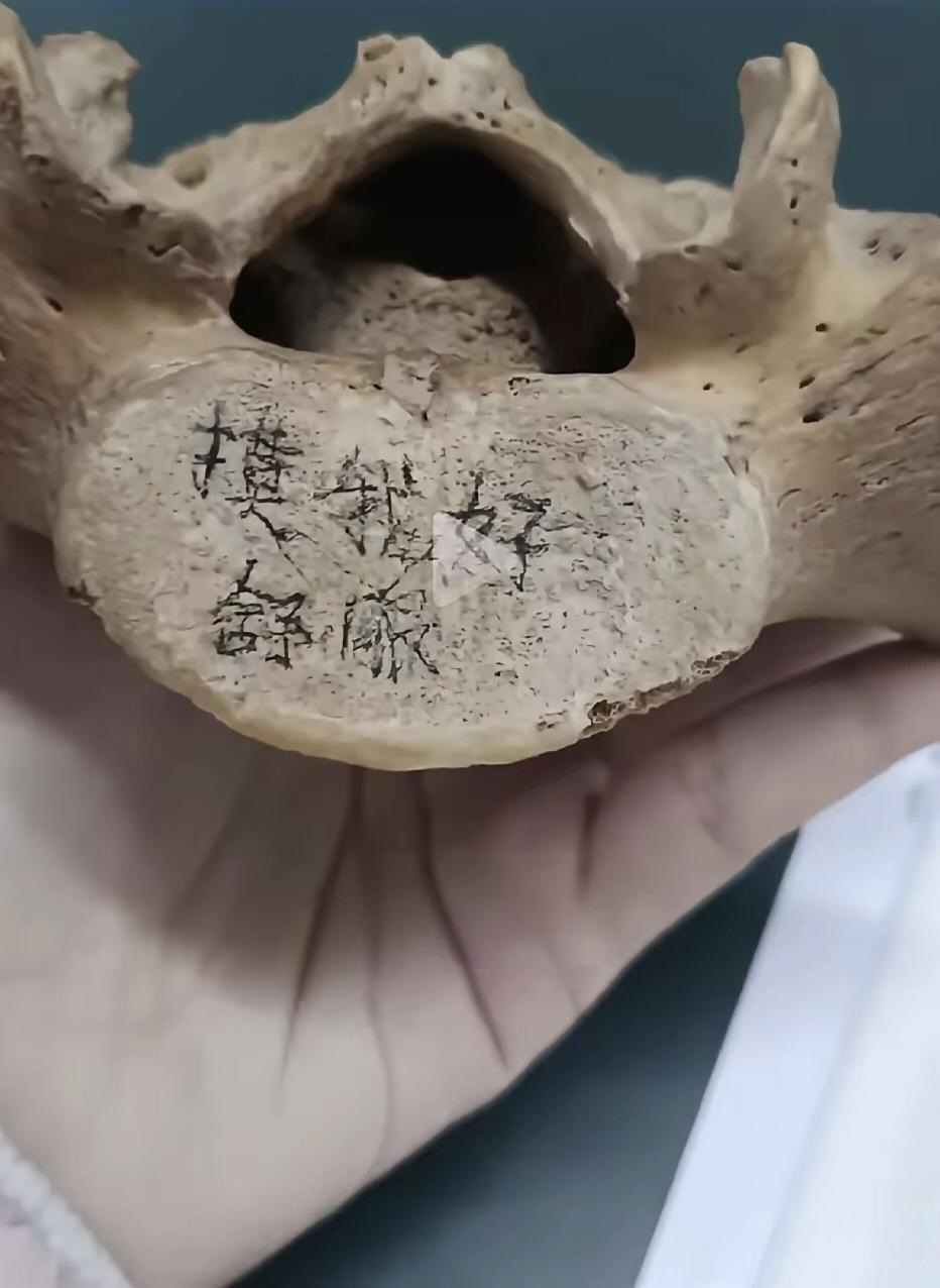被亵渎的大体老师，这些学生真的太让人寒心了。想想它们将来要成为医生，就感觉到无比