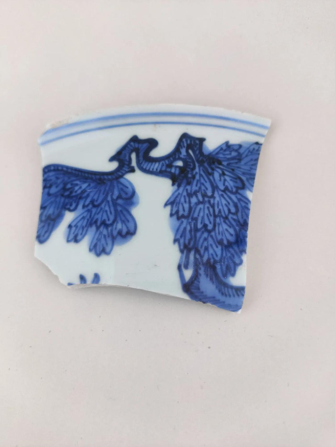 这是啥树？谢谢