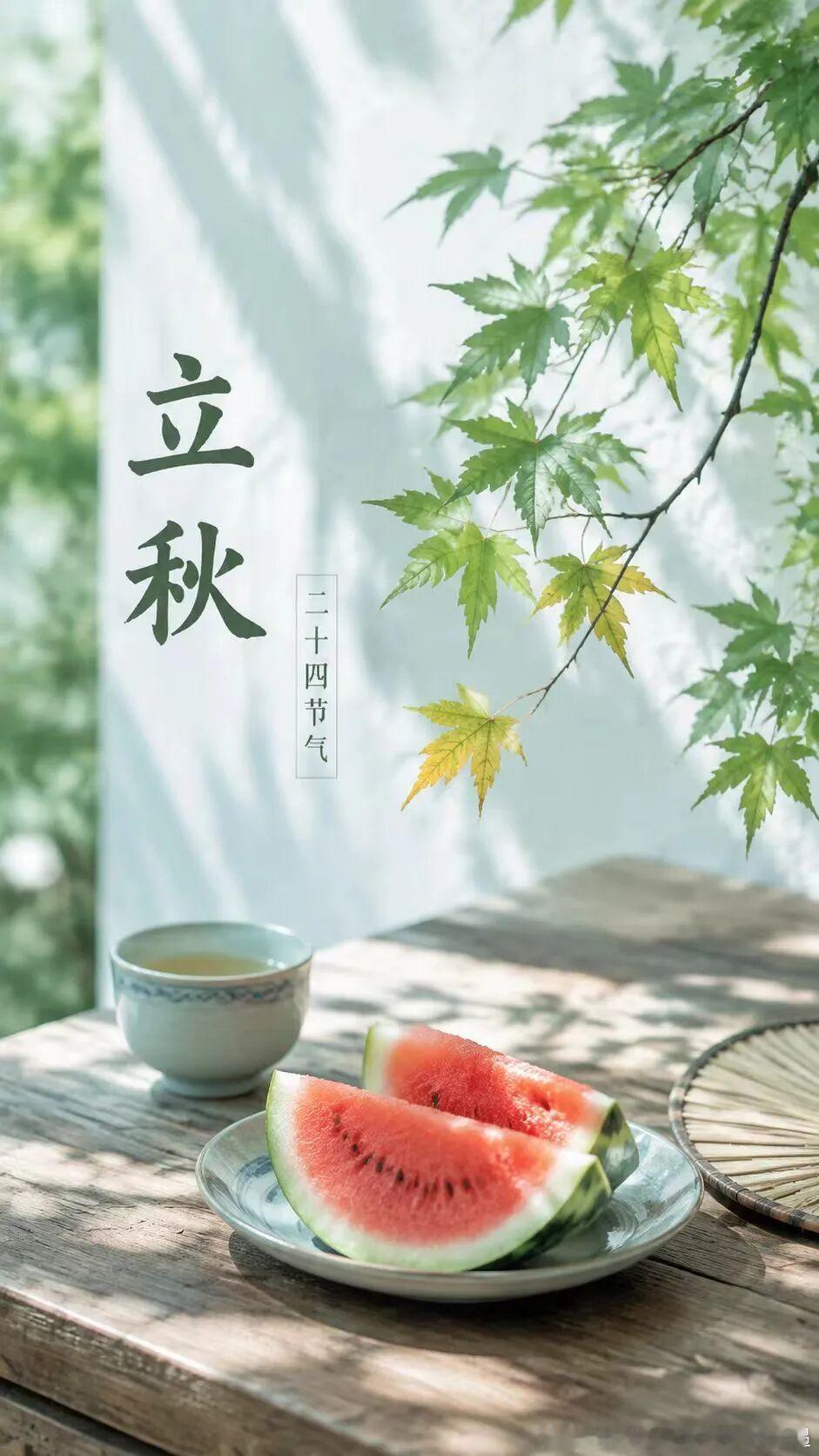 立秋“云天收夏色，木叶动秋声。”愿所有耕耘皆有回响，收获如期而至！🍂 我是一棵