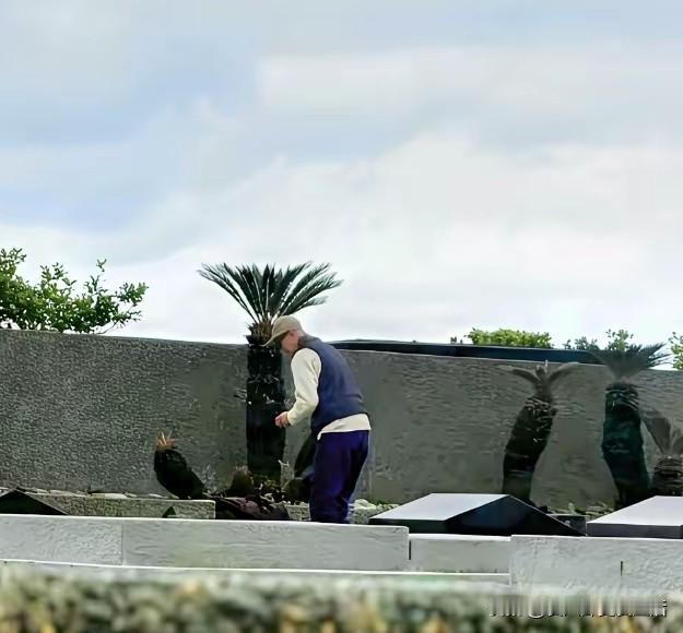 具俊晔是真的爱大S。
还没有哪一个男人妻子去世以后，能够一年的时间内不停的去墓地