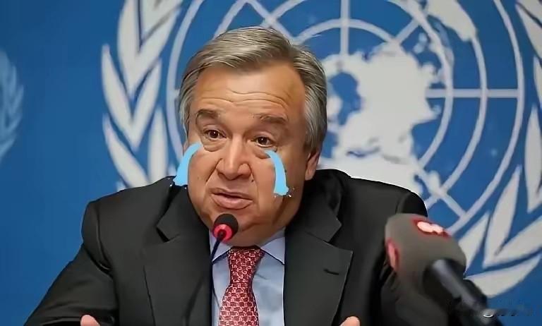 果不其然

​​中方突然宣布了

​​今天在北京和纽约的公开信息显示，中方表示将