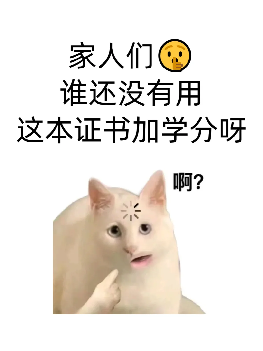家人们🤫谁还没有用这本证书加学分呀？？