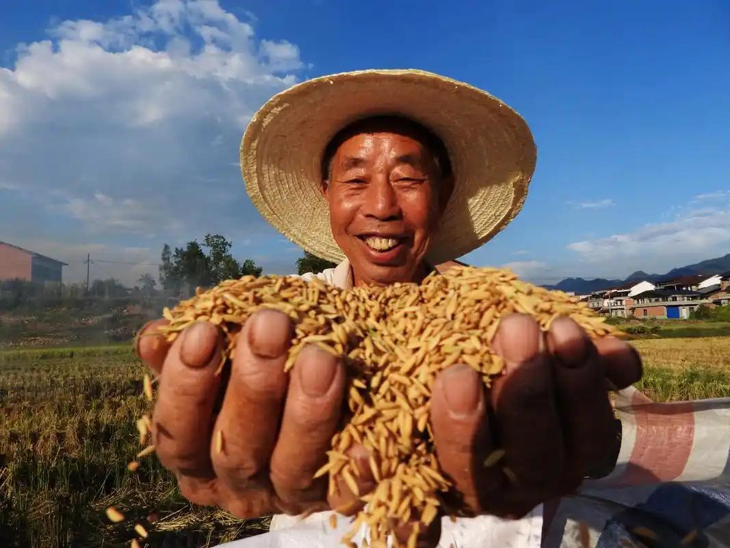 伊朗战争打响，连中国的农民都可能受到影响，这里面有很重要的一个原因是中东是全球主