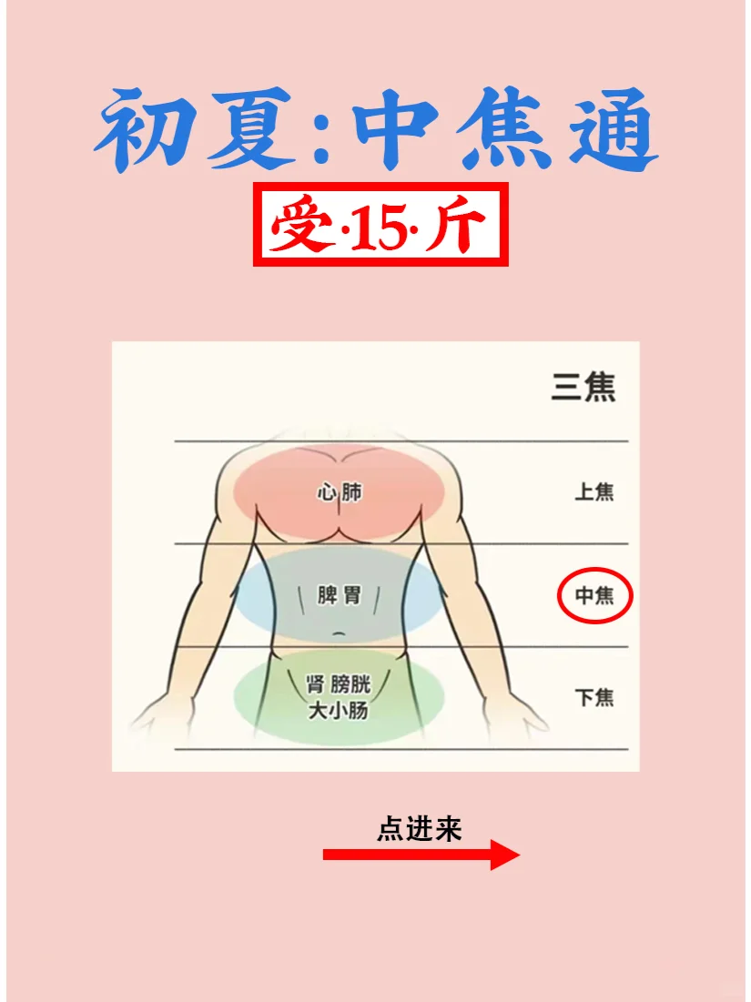 初夏打通中焦，瘦15斤😉