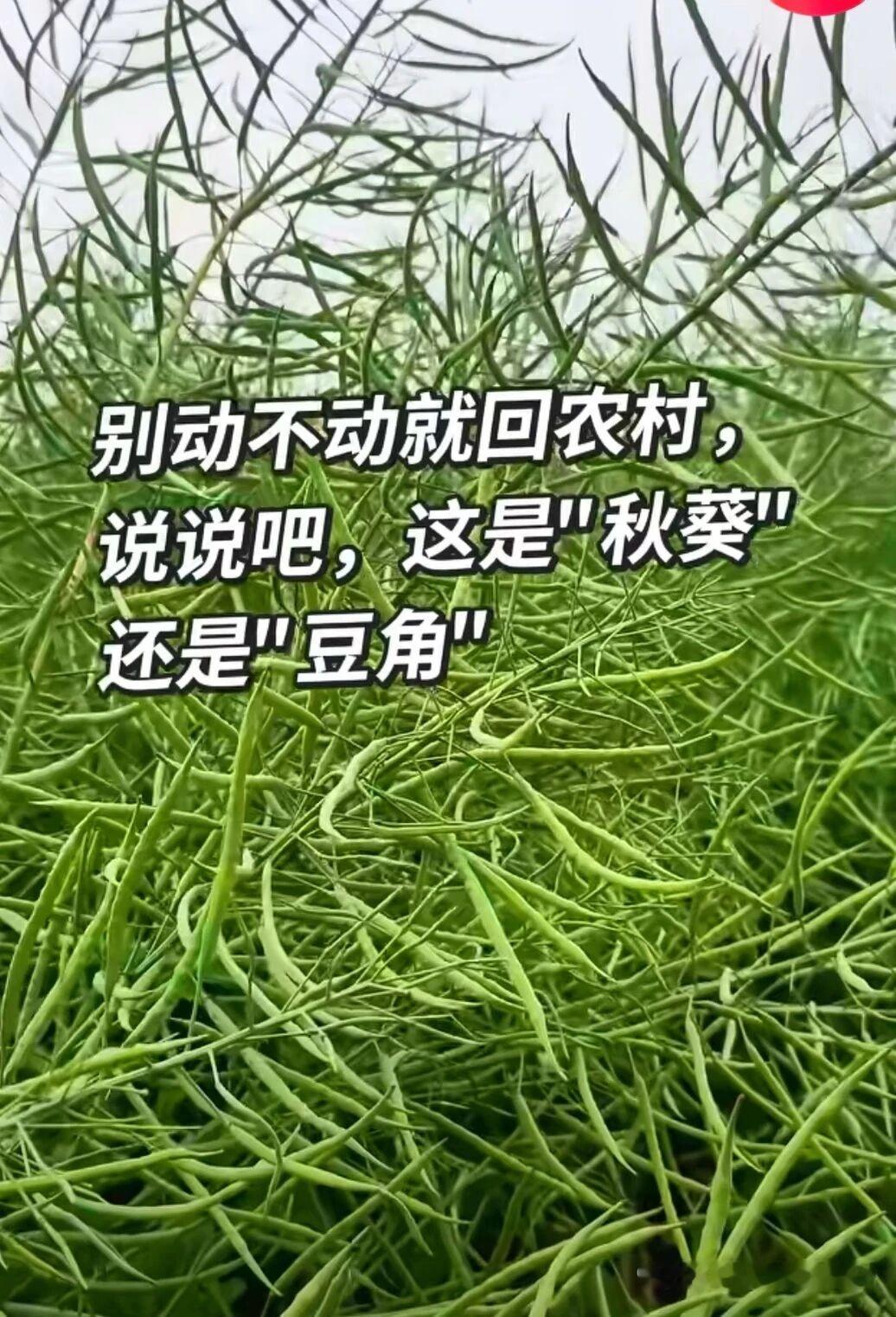 考考你农村人的基本知识咋样？？