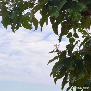 在生命中，不管遇到谁，他都是对的人。无论发生什么事，那都是唯一会发生的事;把握当