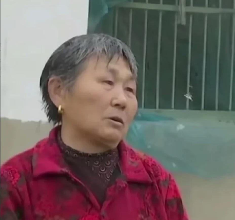 三岁男孩傍晚被爸爸批评后赌气离家出走，和他一起不见的还有家里的大白狗。一家人找了