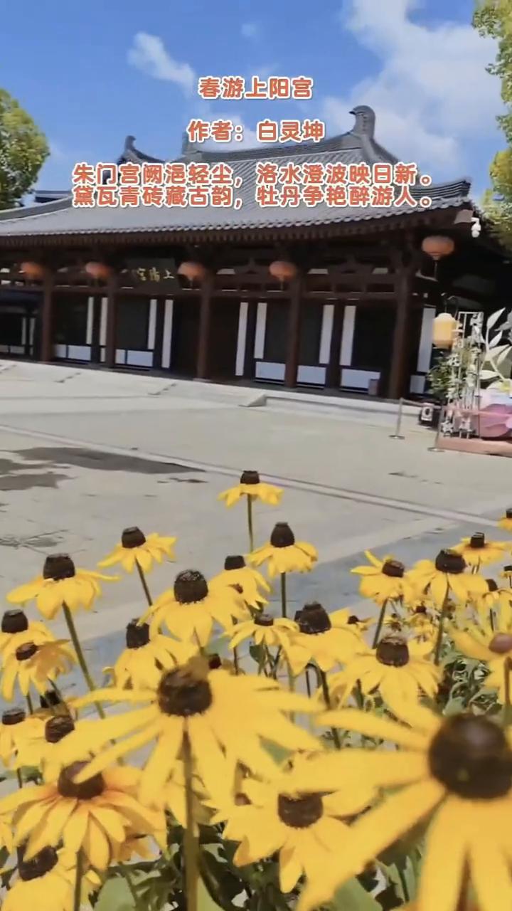 春游上阳宫。
作者：白灵坤。
朱门宫阙浥轻尘，洛水澄波映日新。
黛瓦青砖藏古韵，