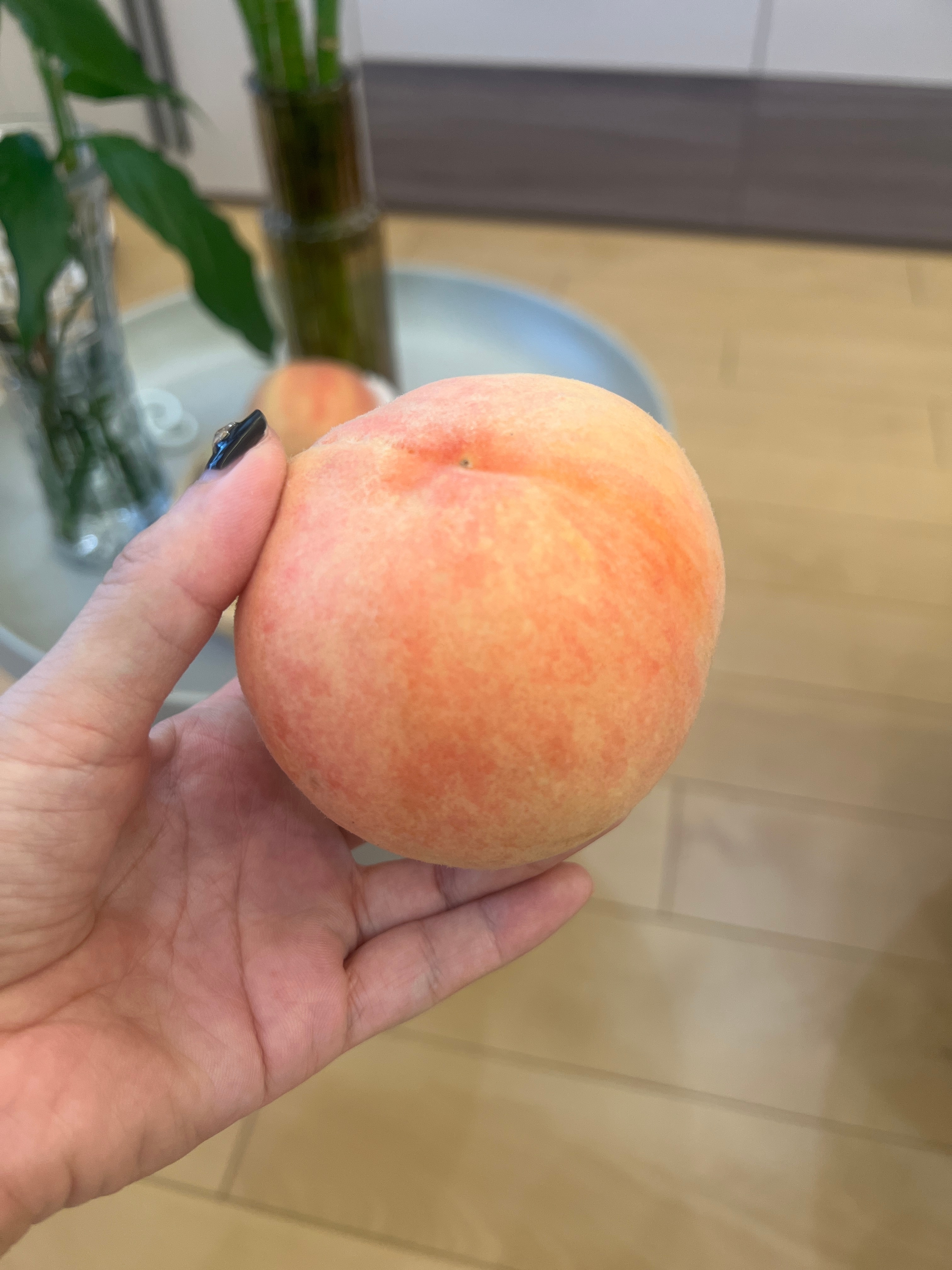 又是一年收到了投喂的水蜜桃 🍑打开坐在沙发上都能闻到水蜜桃的香味！#水蜜桃腮红