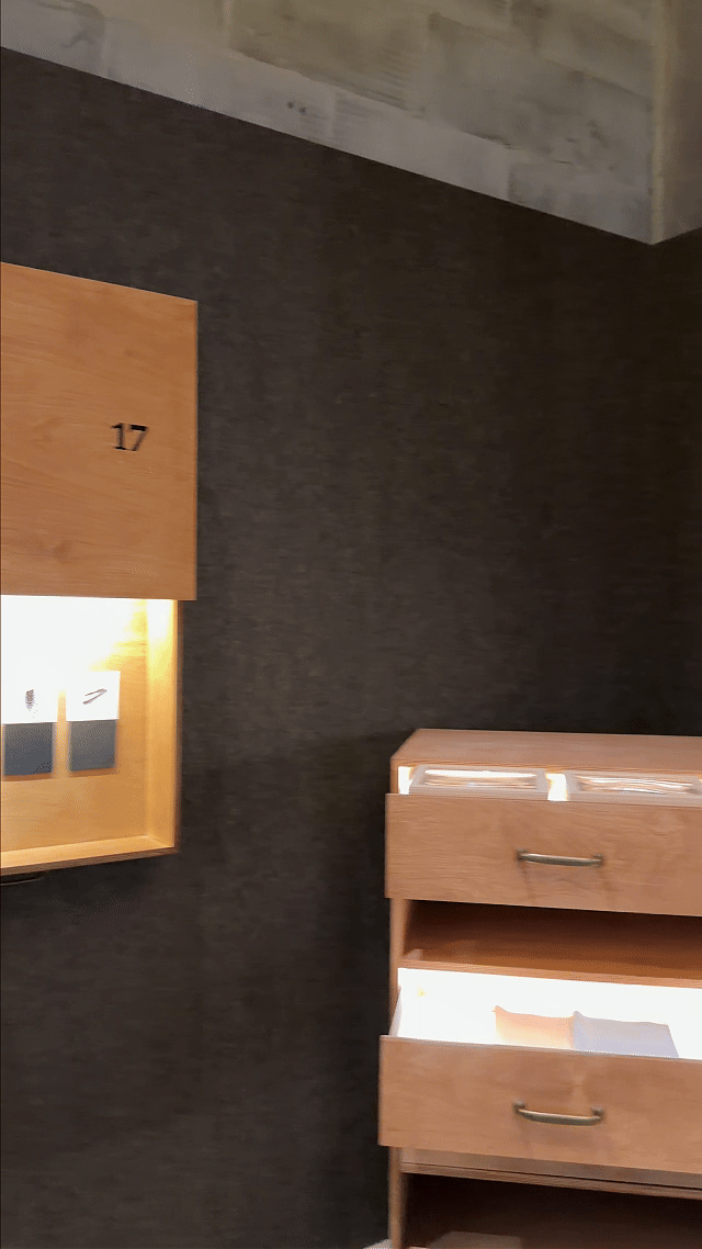 五一在上海体验中原美学 张婧仪惊喜现身展览，颜值状态绝佳，氛围感满分，沉浸式邂逅