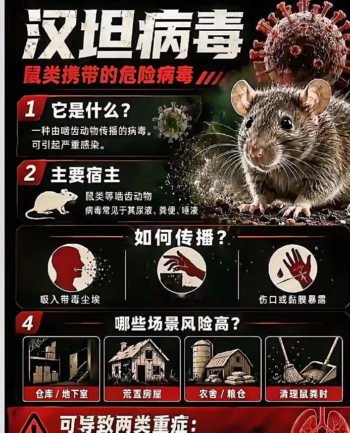 西方写惯了的剧本被中国游客完美的避开了
根据媒体报道，一名洪迪厄斯号邮轮上的中国