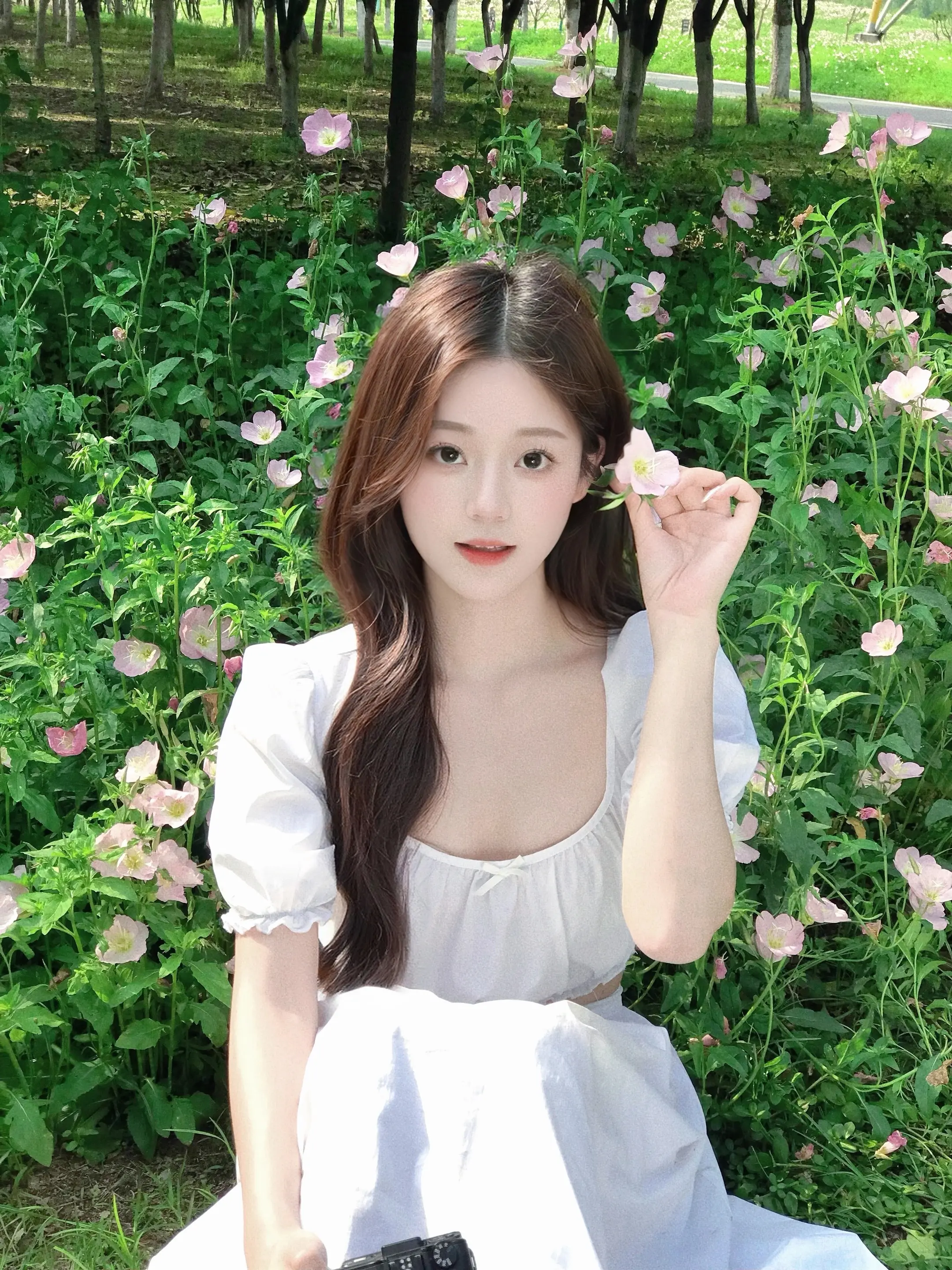 我的爱会爬上窗台盛放。