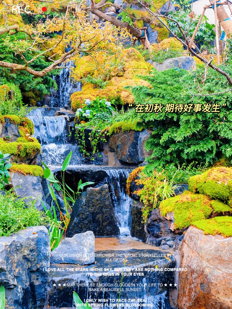 在青岛！谁能拒绝极具松弛感的住宅！