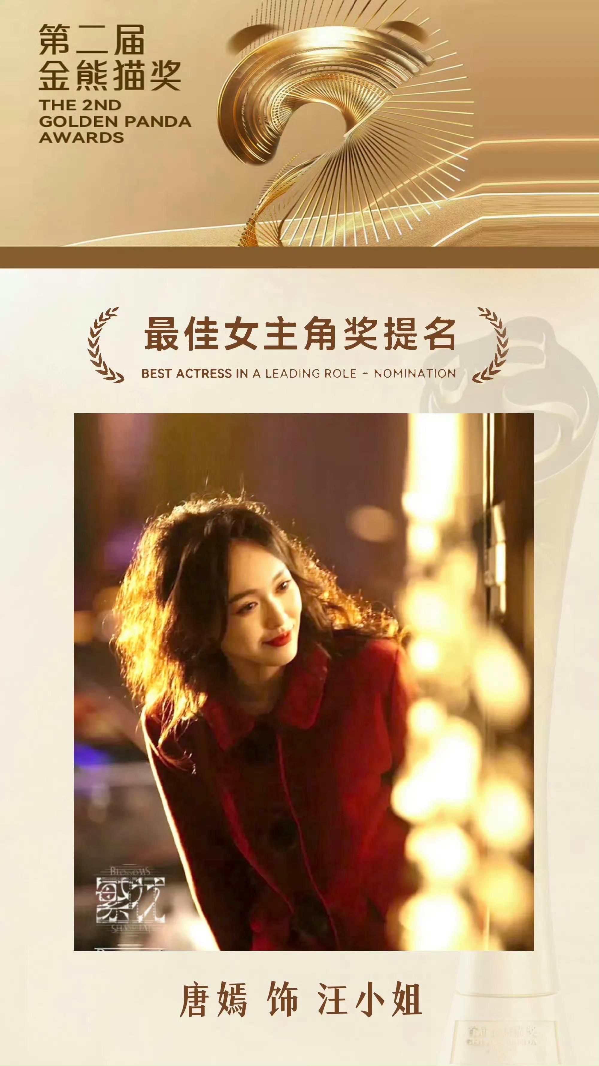 汪小姐包揽 内地电视剧四大 最权威的奖项 最佳女主角提名 汪小姐值得一切