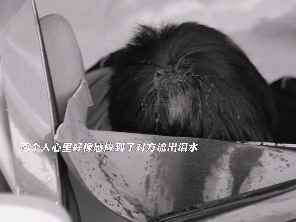 主角大结局团灭刘红兵和孩子都死了 刘红兵、刘忆、单团、宋师…这真的不是团灭吗主角