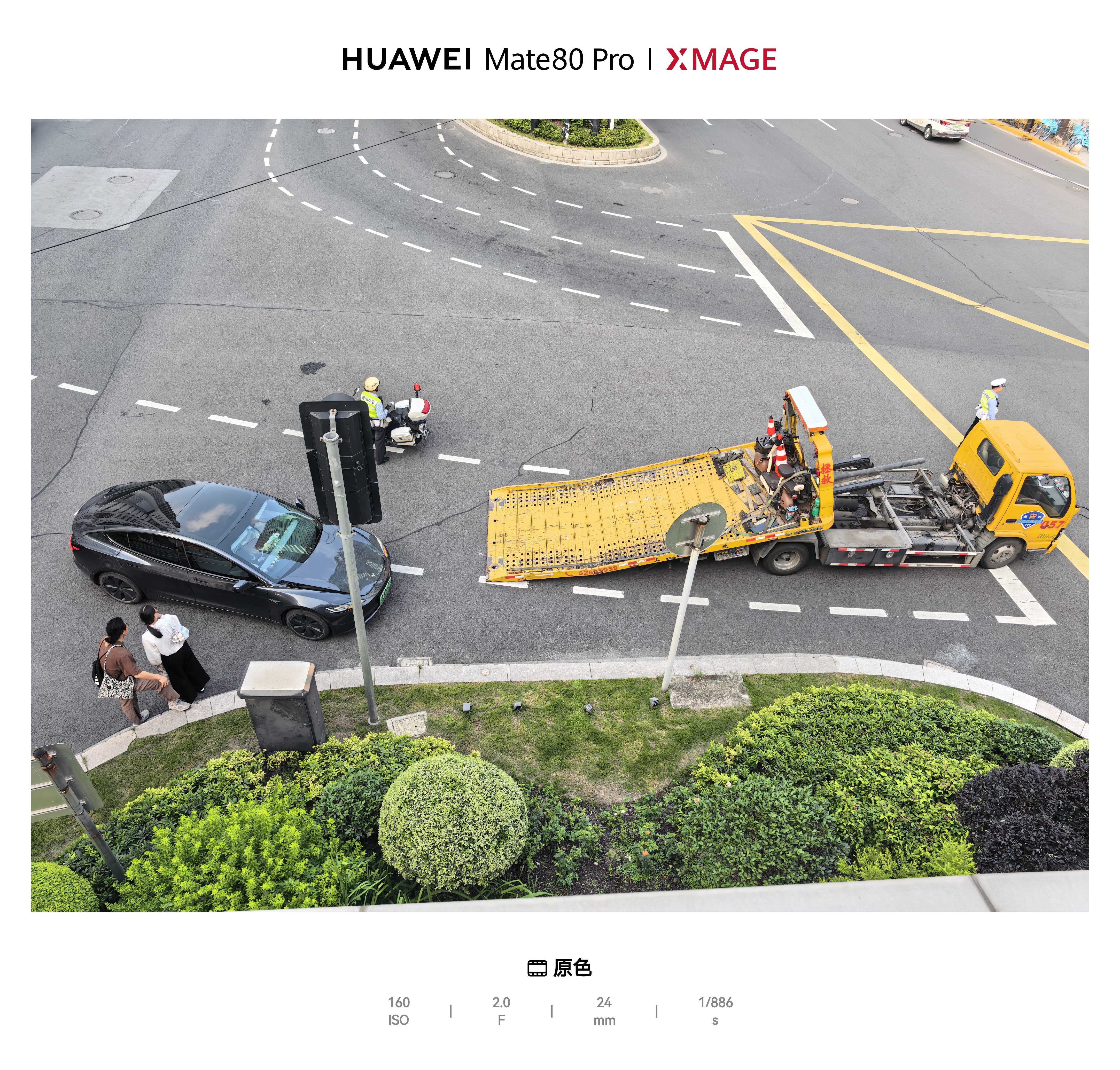 一生爱看热闹的中国人