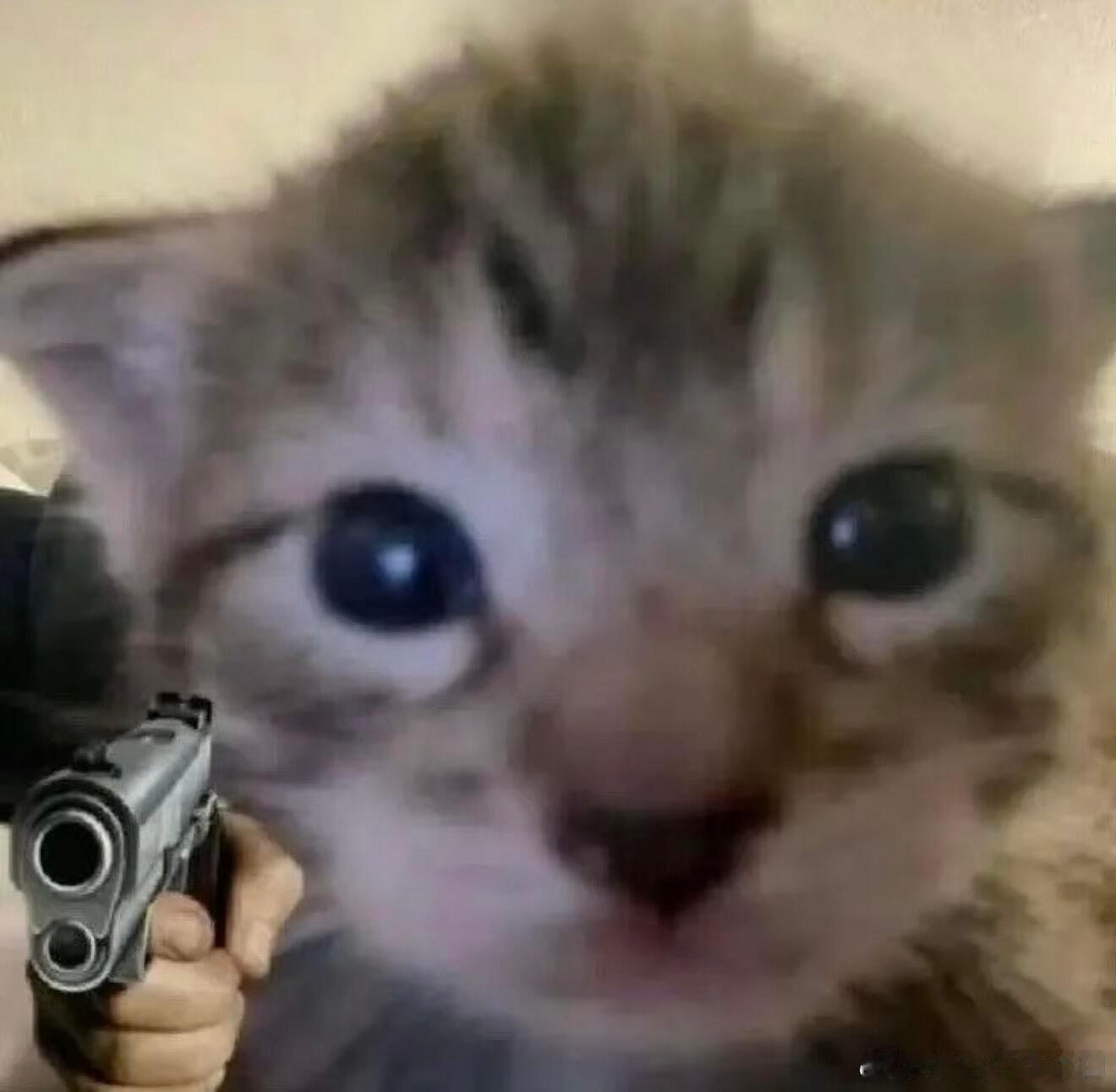 发虐猫视频的学生被开除不冤现在虐猫，以后还不知道干出什么变态的事动物保护法也保护