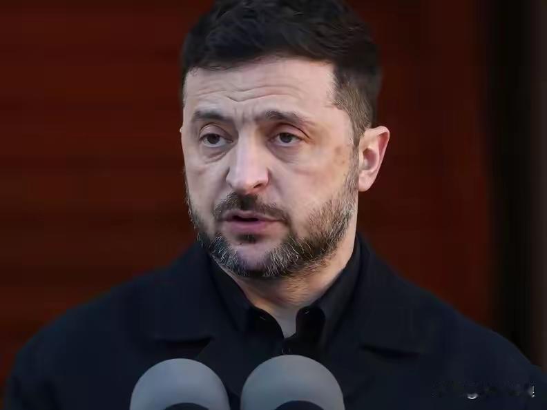 乌克兰总统泽连斯基一下子向俄罗斯抛出3个必须！
​刚刚
泽连斯基说
俄罗斯必须为