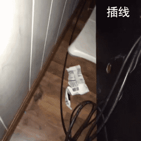 实用猫咪多功能手册，大家收好[喵喵]  #萌宠种草节# ​​​